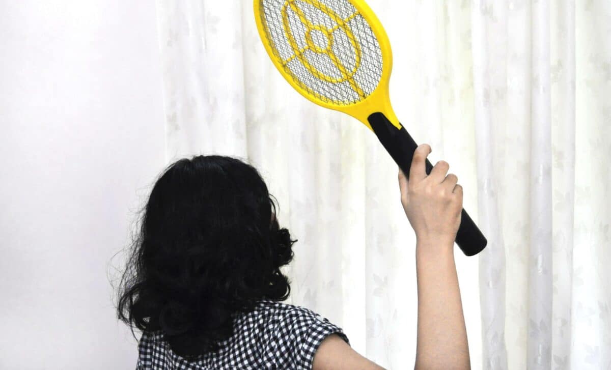 "I Didn't See A Single One Anymore" – This Anti-fly Method Amazes The Internet