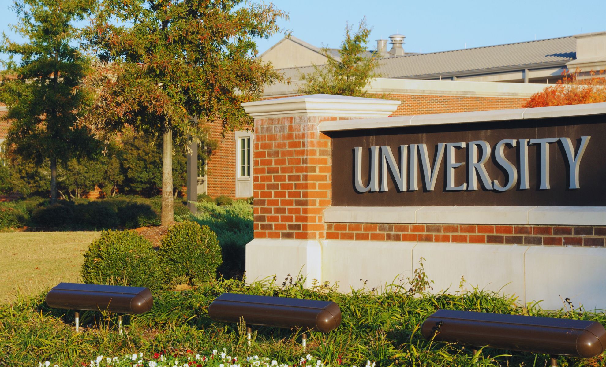 Rutschi thomas nude i found myself back in Chicago for a