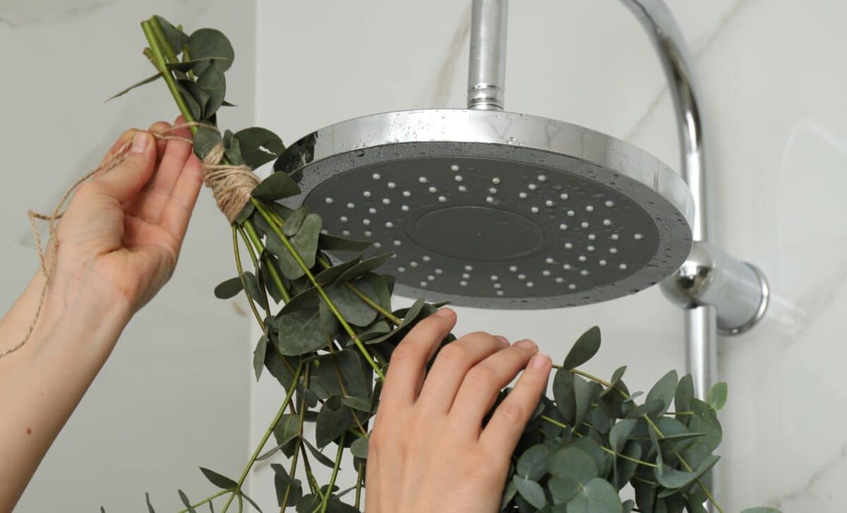 I Tried Hanging Eucalyptus In My Shower — And I’m Never Going Back