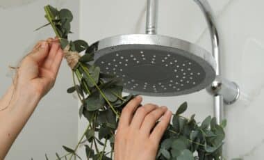 I Tried Hanging Eucalyptus In My Shower — And I’m Never Going Back