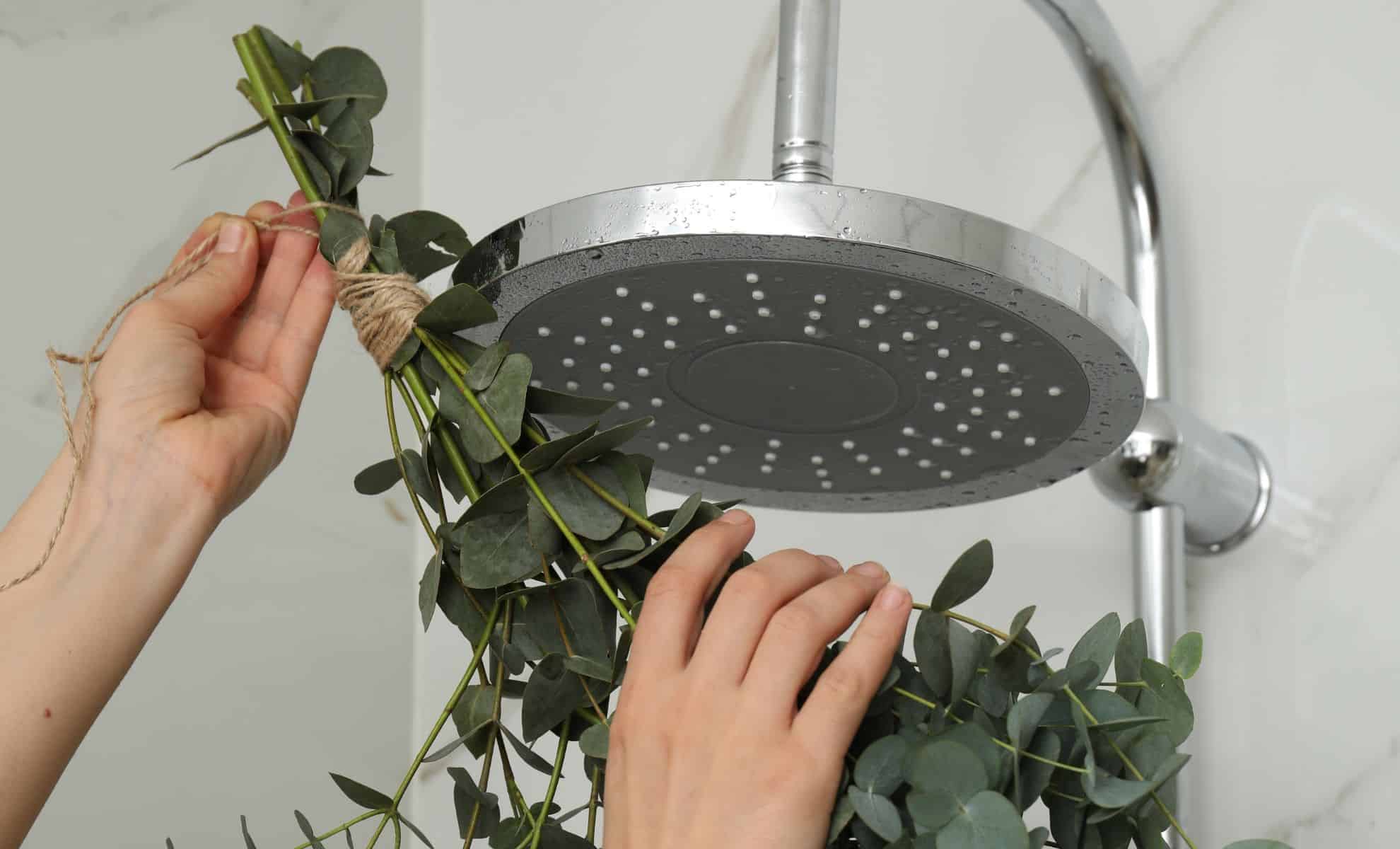 I Tried Hanging Eucalyptus In My Shower — And I’m Never Going Back