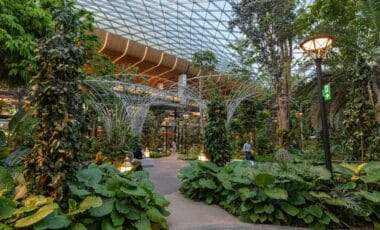 Not in Asia, Not in Europe The Most Beautiful Airport Is Right Here in the U.S.