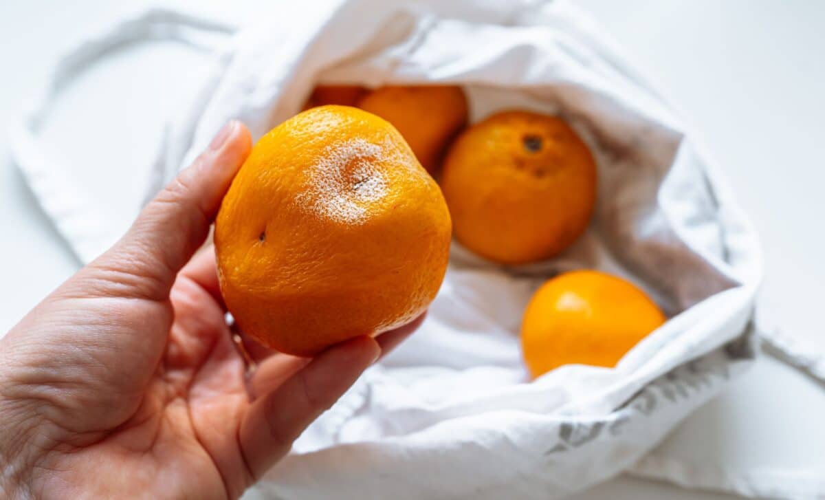 Your Fruit Is Spoiling Faster This Winter The Simple Fix That’s Going Worldwide