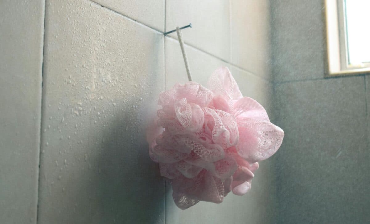 You Don’t Need to Waste Money on Dehumidifiers, This Plant Absorbs 80% of Bathroom Humidity!