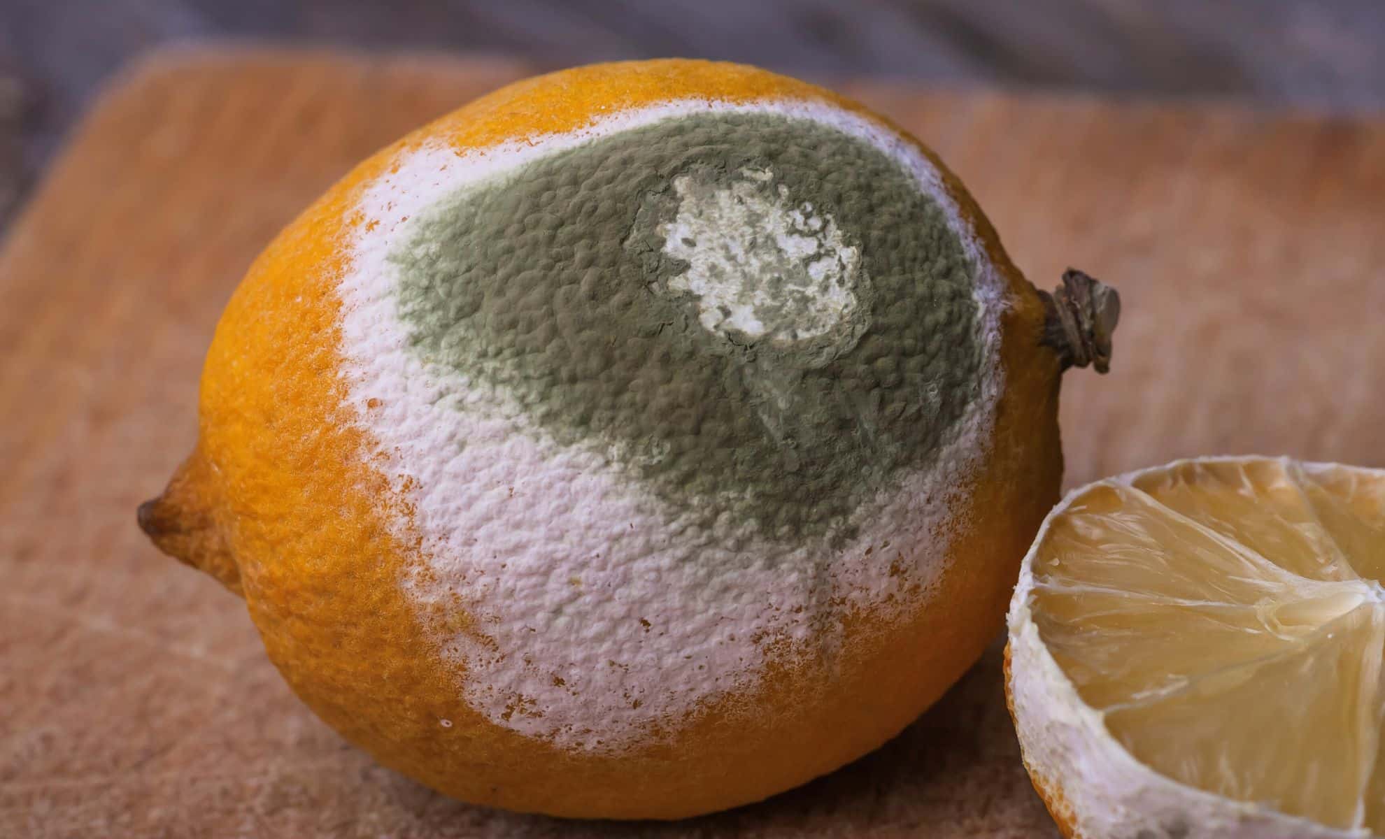 Burying Moldy Lemons In The Garden The Outcome Is Catching Gardeners Off Guard