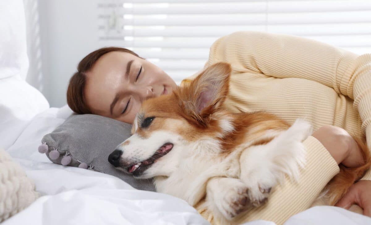 If Your Pet Sleeps In Your Bed, Psychology Says You Probably Have These Traits