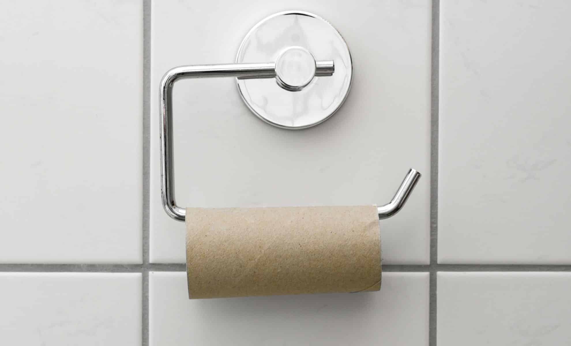 This Toilet Paper Roll Trick Turns Dryer Lint Into Something Surprisingly Useful