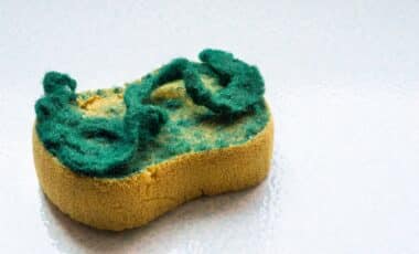 You’re Throwing Away Your Sponges… Here’s Why Gardeners Say That’s a Huge Mistake