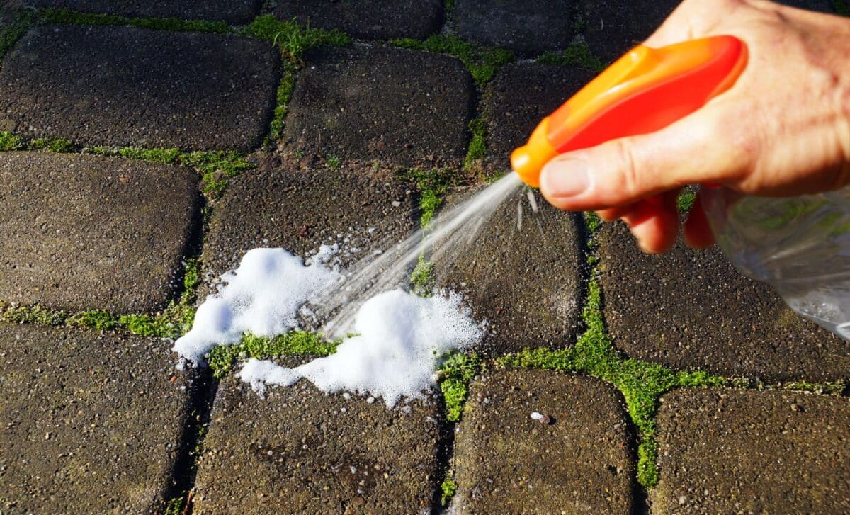 Patio Covered in Moss Try This Lazy Way to Get Rid of Patio Moss Fast Using Just Two Simple Kitchen Items