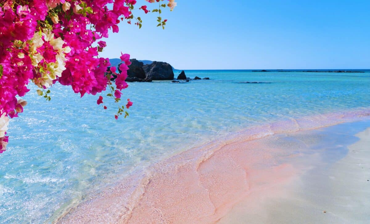 This Hidden Pink Beach in Europe Just Beat the World’s Most Famous Destinations