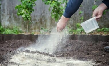 Want a Perfect Lawn Without Breaking the Bank Try This Affordable Bath Product!