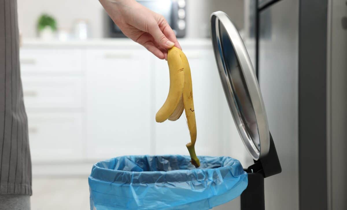 You Throw Away Banana Peels Every Day, Here’s Why That Habit Might Be a Big Mistake