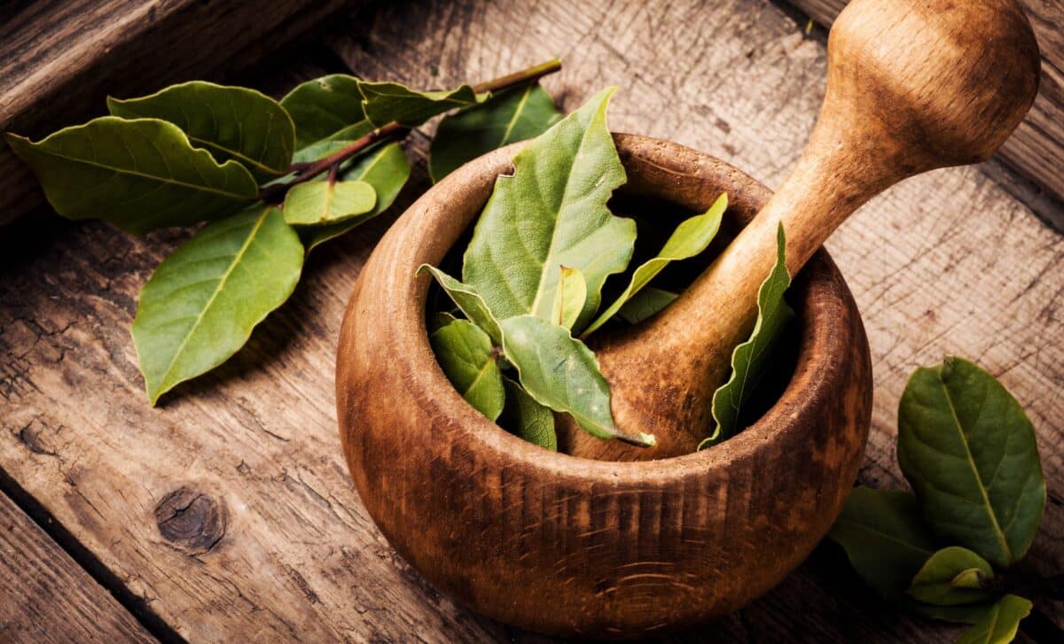 Bay Leaves and Baking Soda Why This Homemade Mixture Is Becoming Popular in More and More Homes