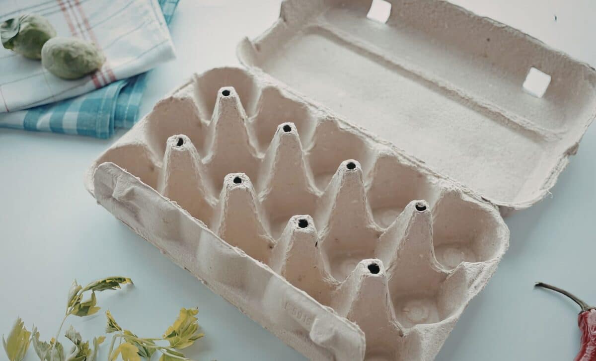 Don’t Throw Away Another Egg Carton – These Tricks Will Change How You See Everyday Trash