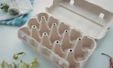 Don’t Throw Away Another Egg Carton – These Tricks Will Change How You See Everyday Trash