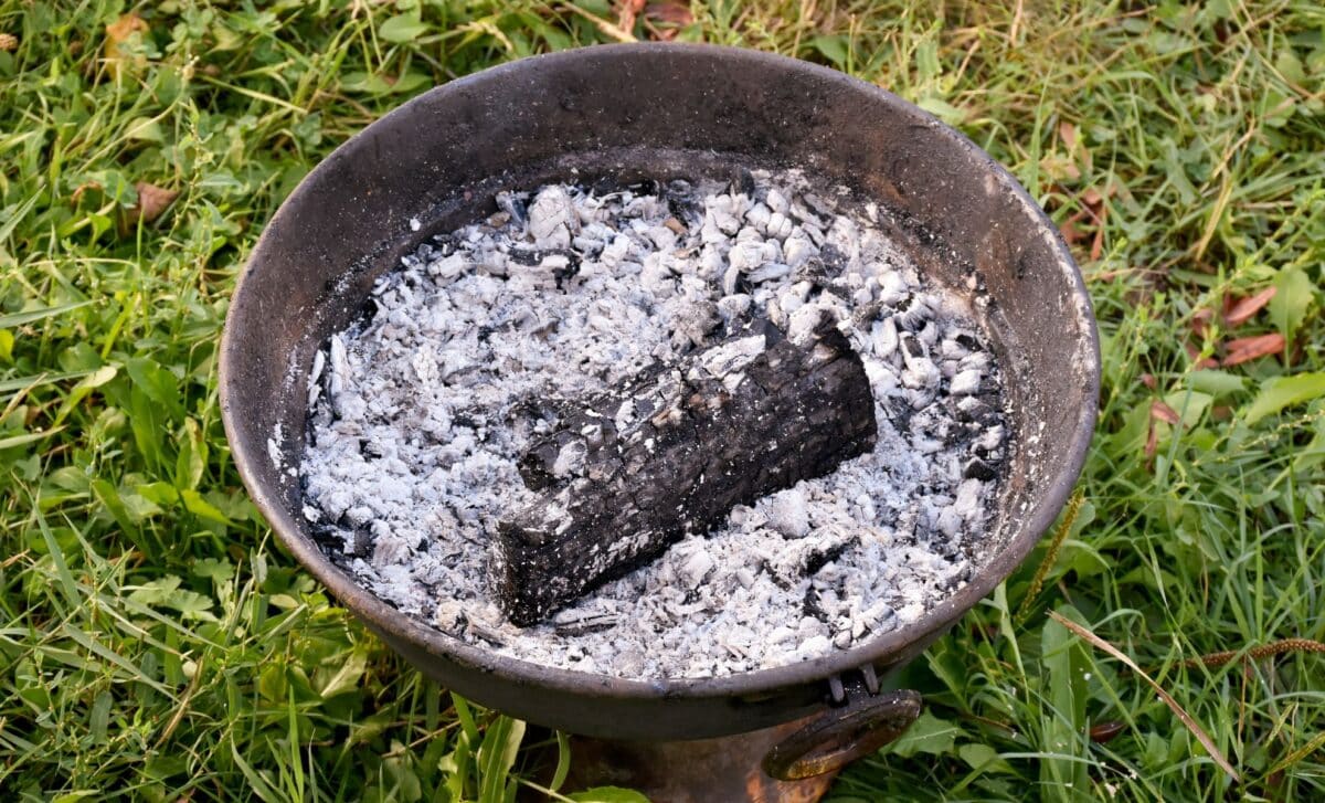 Don’t Toss Your Barbecue Ashes! Here’s How to Put Them to Good Use in Your Garden