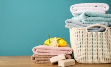 Everyone’s Been Throwing Away This Weed, But It Actually Replaces Your Laundry Detergent