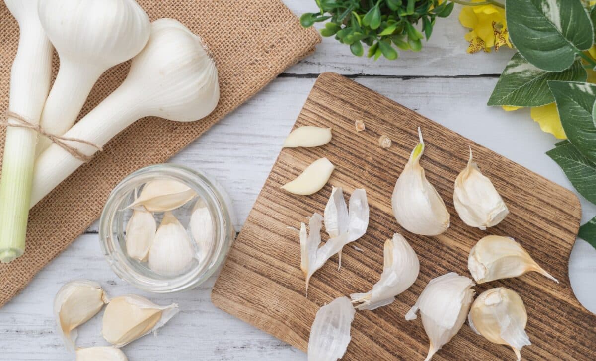 Why More Homeowners Are Using Garlic Water to Keep Ants Out of the Garden