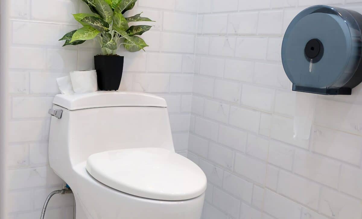 Putting Ice Cubes in the Toilet Once a Week: What's the Point and Why It's Recommended