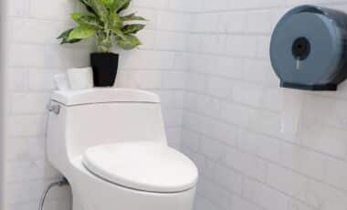 Putting Ice Cubes in the Toilet Once a Week: What's the Point and Why It's Recommended