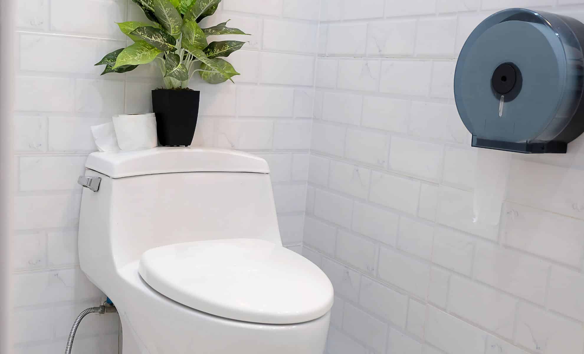 Putting Ice Cubes in the Toilet Once a Week: What's the Point and Why It's Recommended