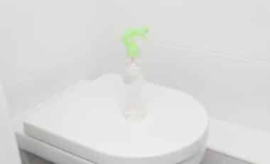 Why More Americans Are Spraying Vinegar Around Their Toilets