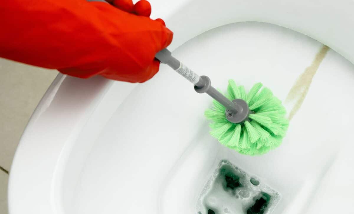 Forget Chemical Cleaners, This Homemade Mix Is Becoming a Go-To Solution for Toilet Limescale