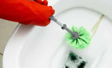 Forget Chemical Cleaners, This Homemade Mix Is Becoming a Go-To Solution for Toilet Limescale