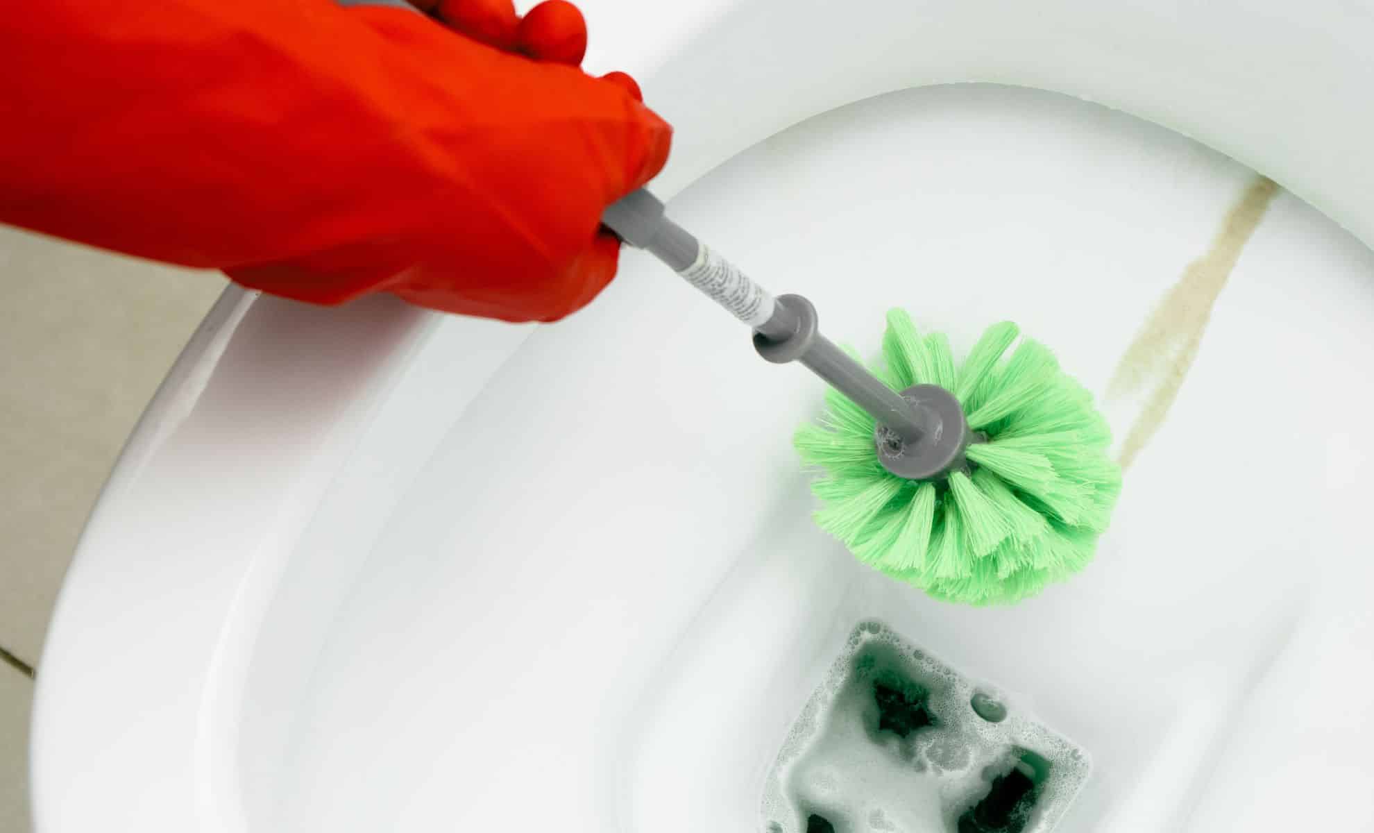 Forget Chemical Cleaners, This Homemade Mix Is Becoming a Go-To Solution for Toilet Limescale