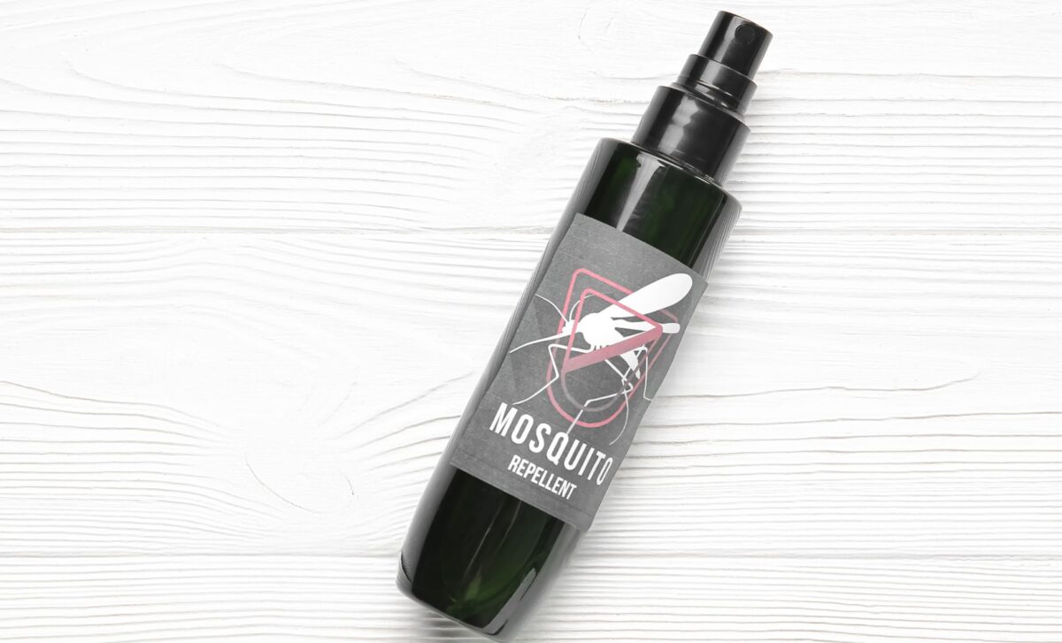 This 30-Second Bottle Trick Had Mosquitoes Flying Straight Into a Trap Overnight