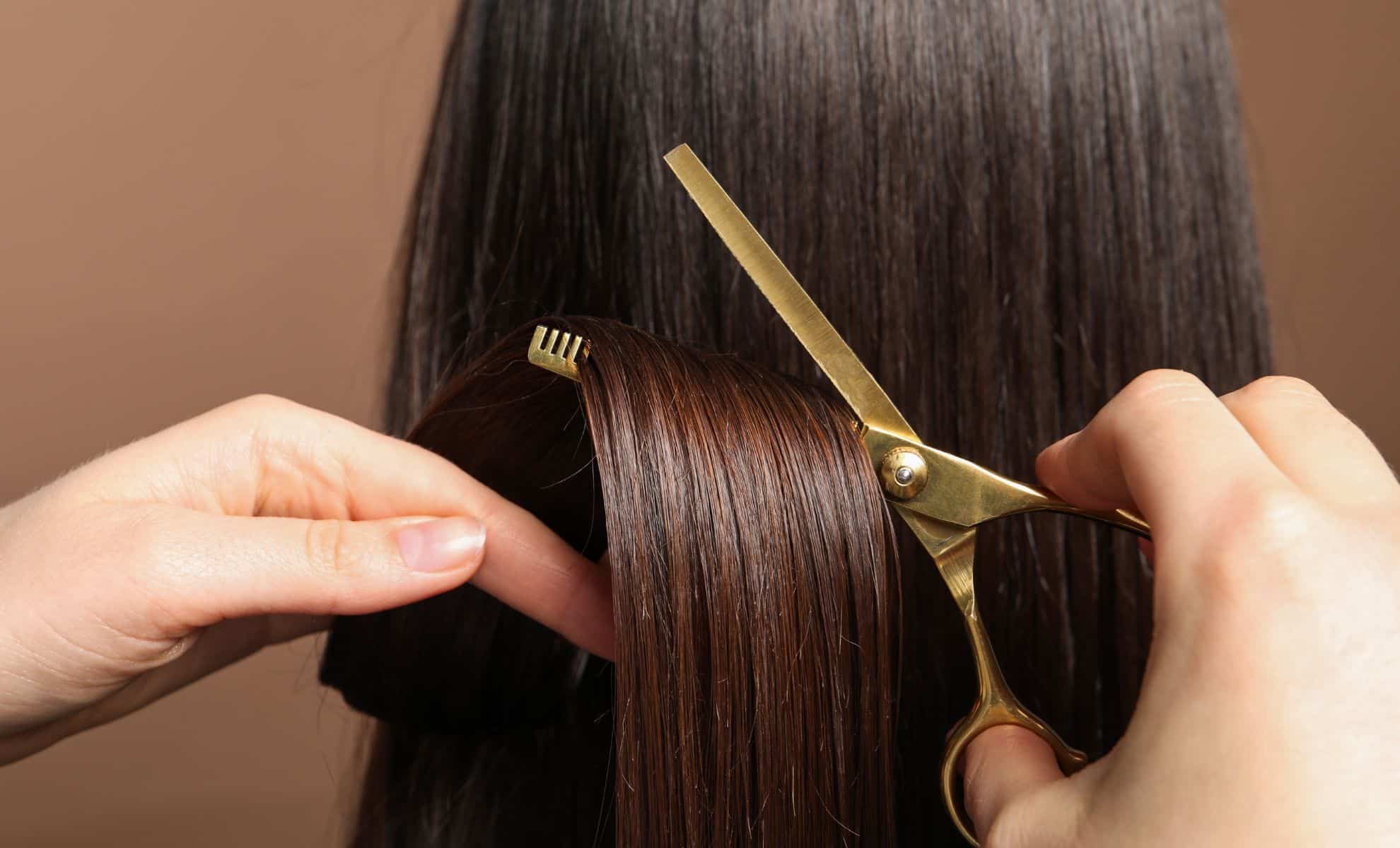 This Once-Outdated Haircut Is Suddenly Everywhere, and Pinterest Users Can’t Stop Searching for It