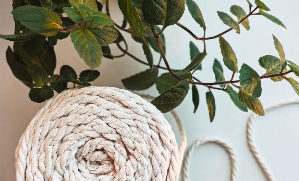 Grandparents Used This Simple Cotton String Trick to Water Plants for Weeks, It’s Making a Comeback
