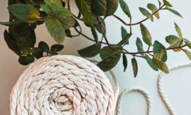 Grandparents Used This Simple Cotton String Trick to Water Plants for Weeks, It’s Making a Comeback