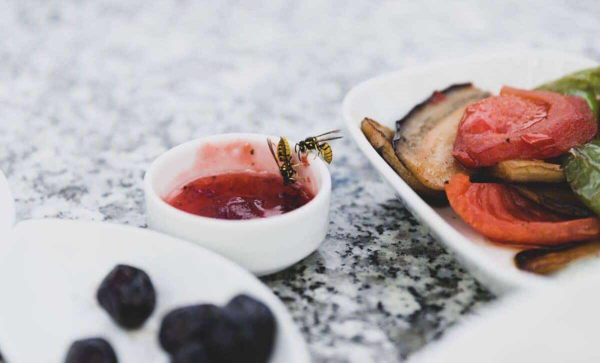 Wasps Keep Ruining Your Outdoor Meals These 3 Easy Tricks Could Finally Help You Enjoy Summer Again
