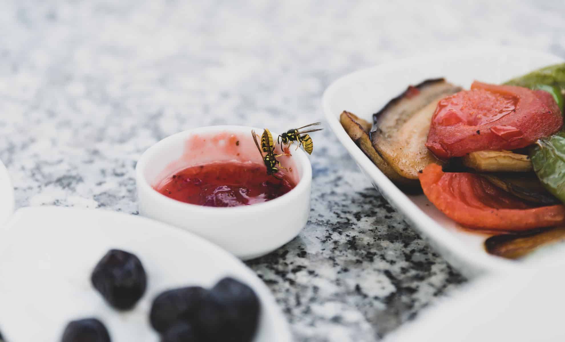 Wasps Keep Ruining Your Outdoor Meals These 3 Easy Tricks Could Finally Help You Enjoy Summer Again